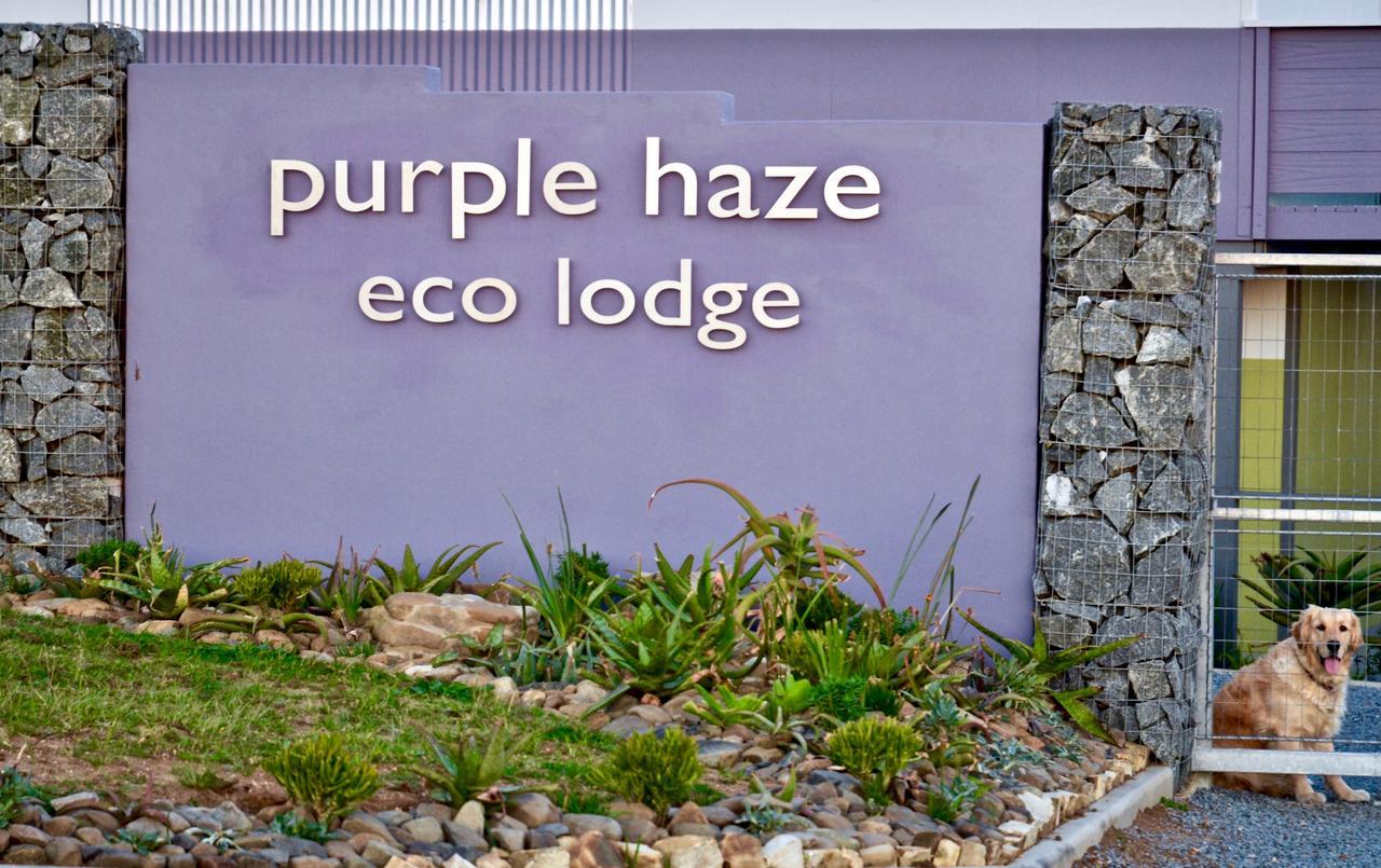 Purple Haze Eco Lodge Chintsa Exterior foto